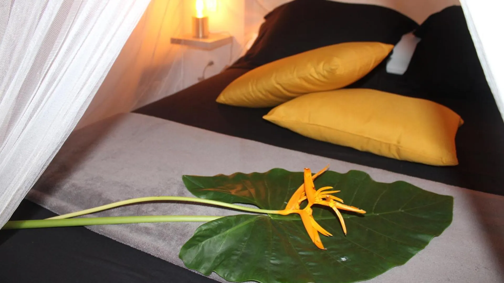 Ferienhaus Maison Ylang-Ylang Pointe-Noire Guadeloupe